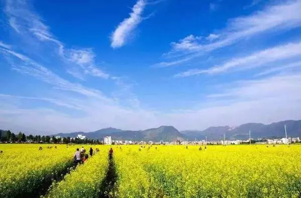 祝贺我市入选全国文明城市,武清区表彰先进个人和集体