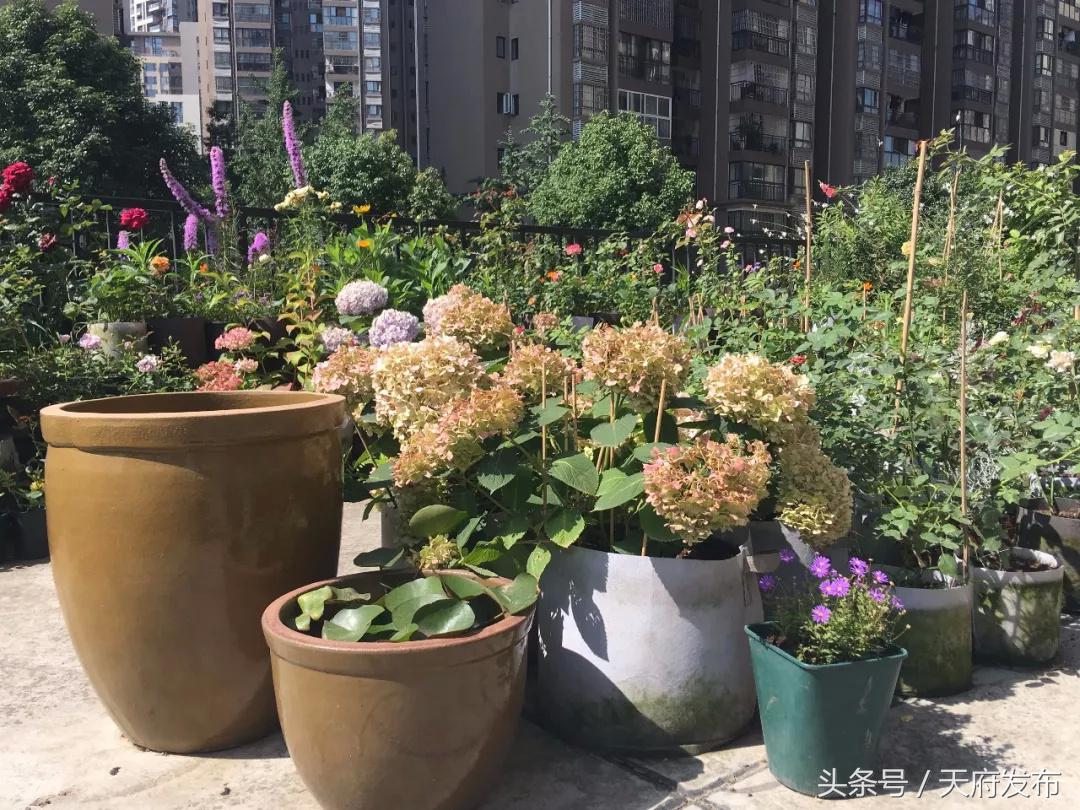 升级服务！万安街道创新探索社区治理新路径，提升居民幸福感