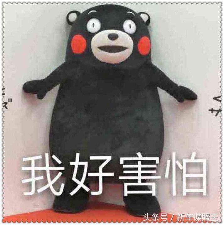 缺乏长期测试！成立不到1年，新特汽车首车上市，质量安全让人忧