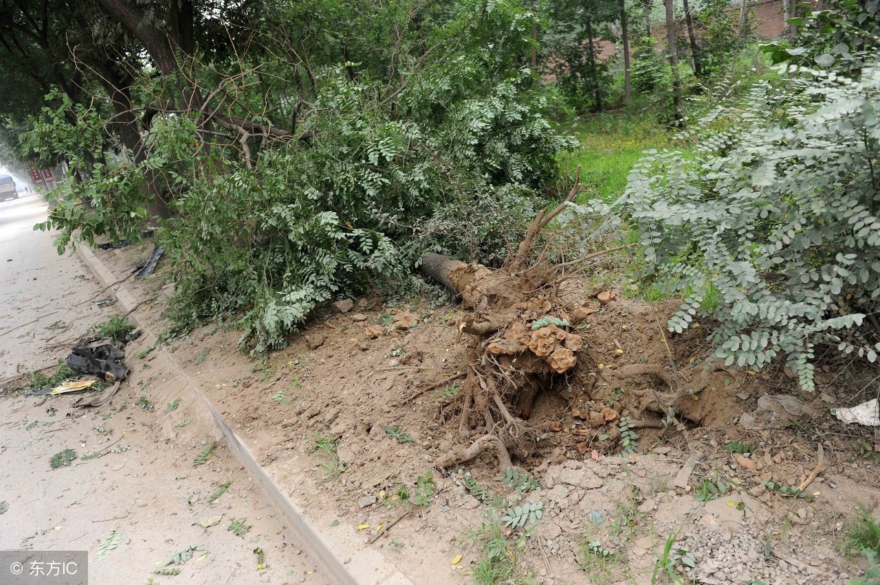 13年迈腾1.8t豪华版现在值得买吗,17年迈腾1.8t豪华版二手车多少钱