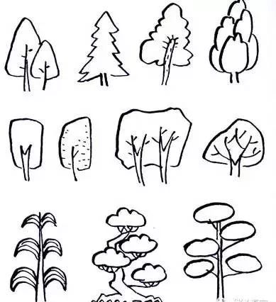 植物名称的词语有哪些,各种植物英文的含义