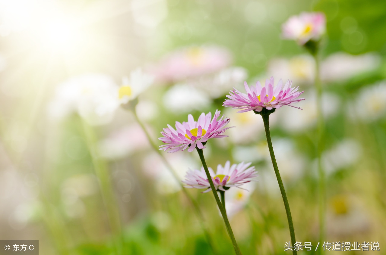 小学语文三年级上册单元测试卷,小学语文三年级下册第七单元习作