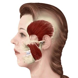 又想换发型这些发型让你美到惊艳,分享各种发型变美干货