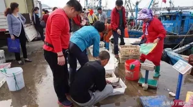 炫富卖海鲜的,威海开海去哪买海鲜