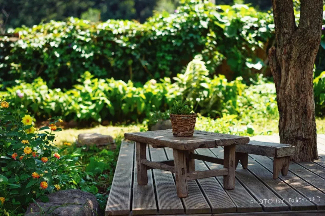 山楂树下农家,辉县山楂树下农家