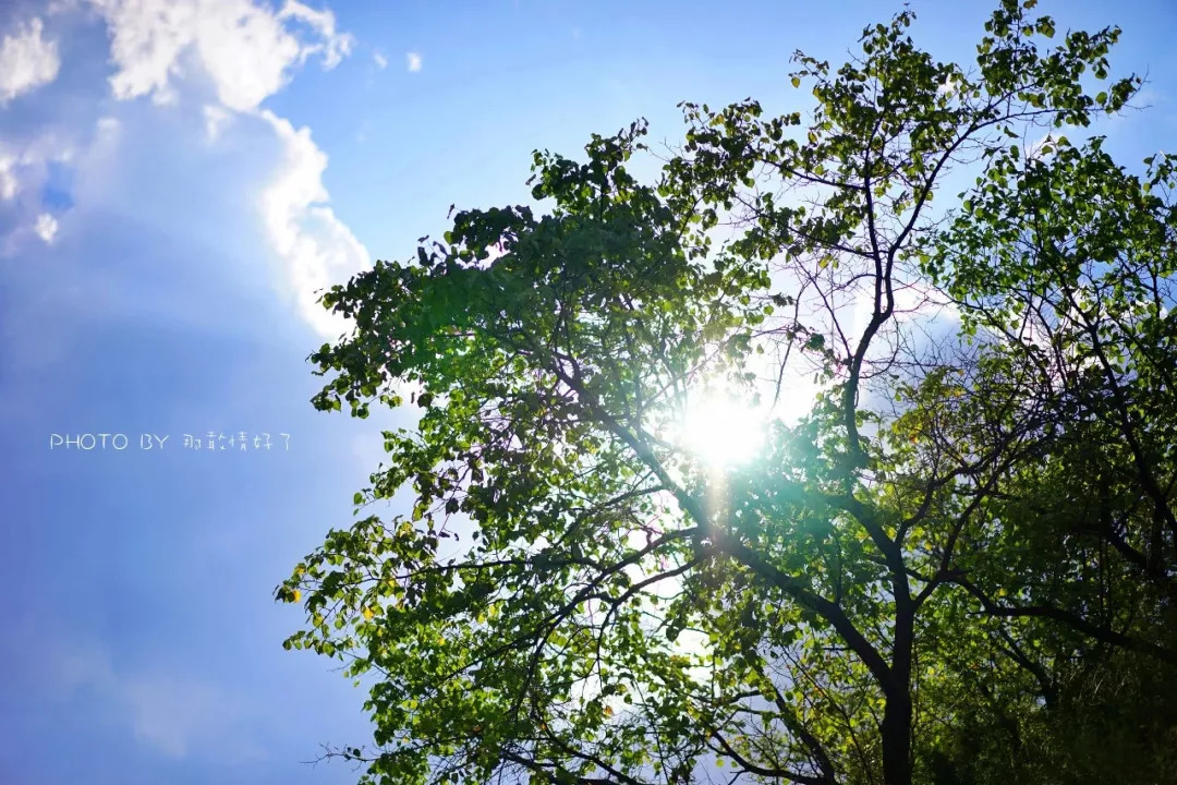 山楂树下农家,辉县山楂树下农家