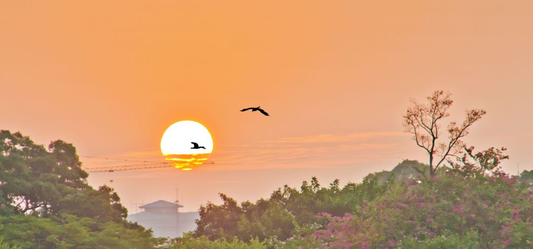 词风雅韵作品,词风雅韵浪淘沙