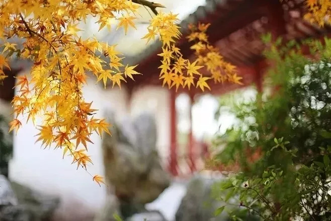 离别的故事经典歌曲,离别的故事原唱完整版