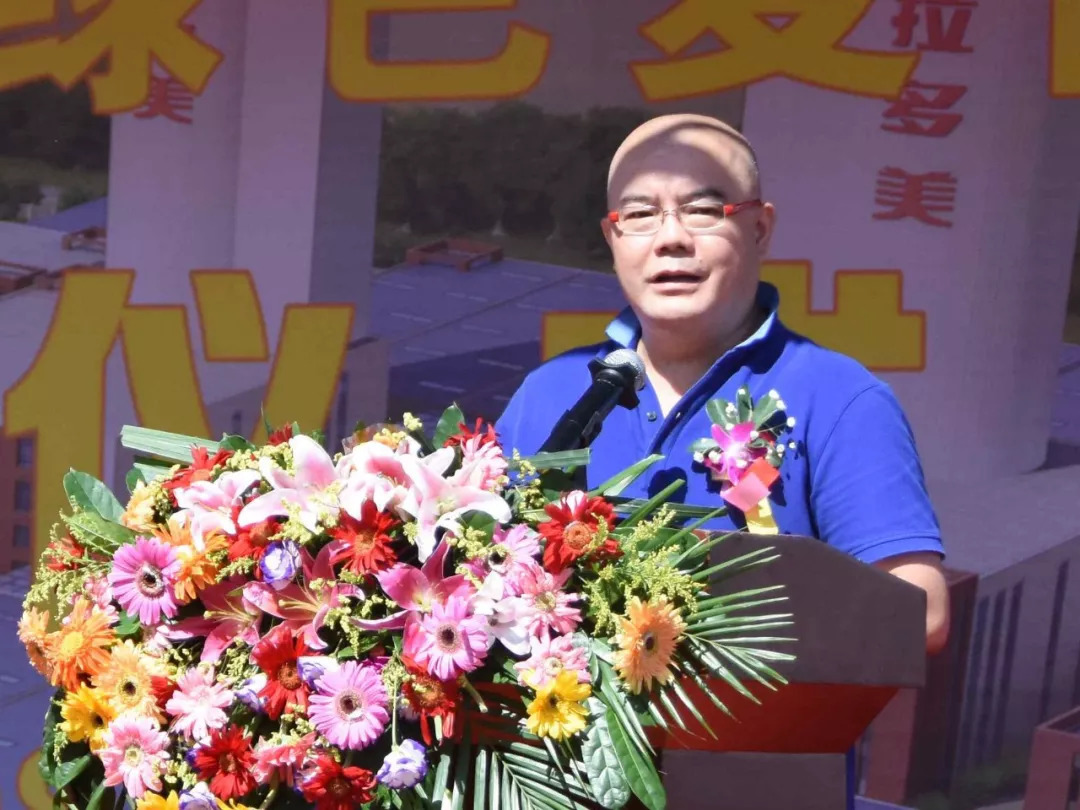 2022年新建20万吨高塔造粒复合肥,高塔造粒复合肥厂总资产有多少