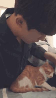 最好的粉丝经济,迷人的粉丝经济