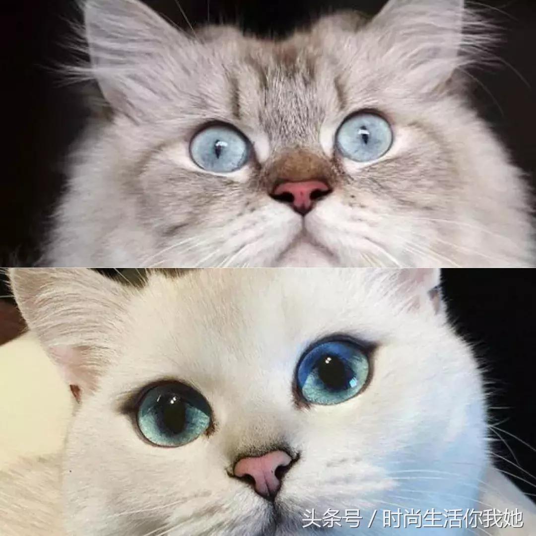 怎么放大双眼不化妆,化妆怎么放大眼睛