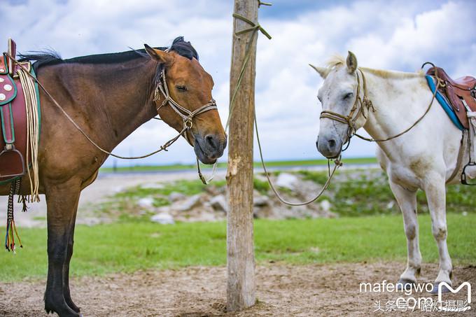 内蒙古赤峰达里湖旅游攻略,赤峰达里湖景区