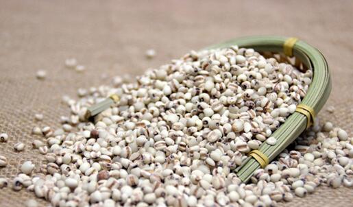 薏仁是“万能祛湿药”，可以利水祛湿，还能平小肚