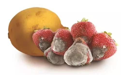 水果变质霉菌怎么消灭,怎么杀死水果中的霉菌