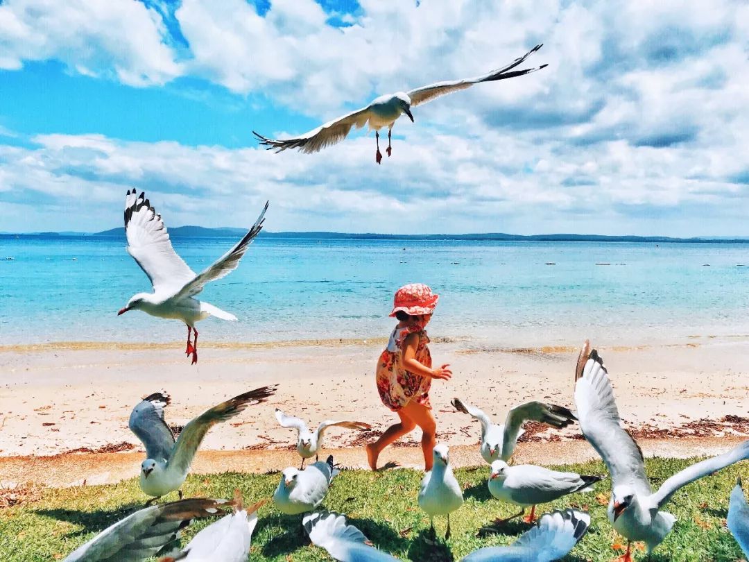 网红是怎么通过拍视频赚钱的,怎么拍照做网红赚钱