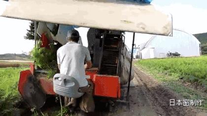 日本农民怎么种地,老农种地真容易