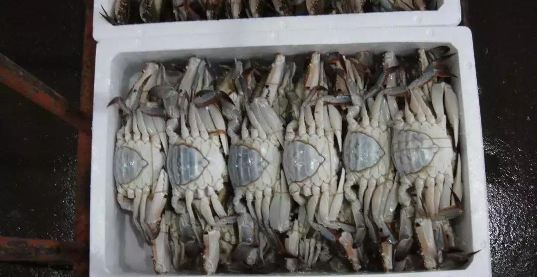 成都批发商品最便宜的地方在哪里,成都最大的小商品批发市场在哪里