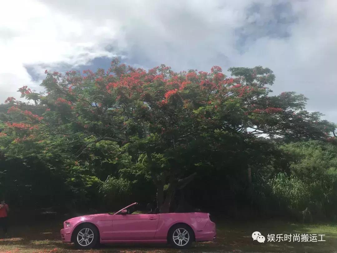 塞班自由行价钱,塞班岛自由行报价