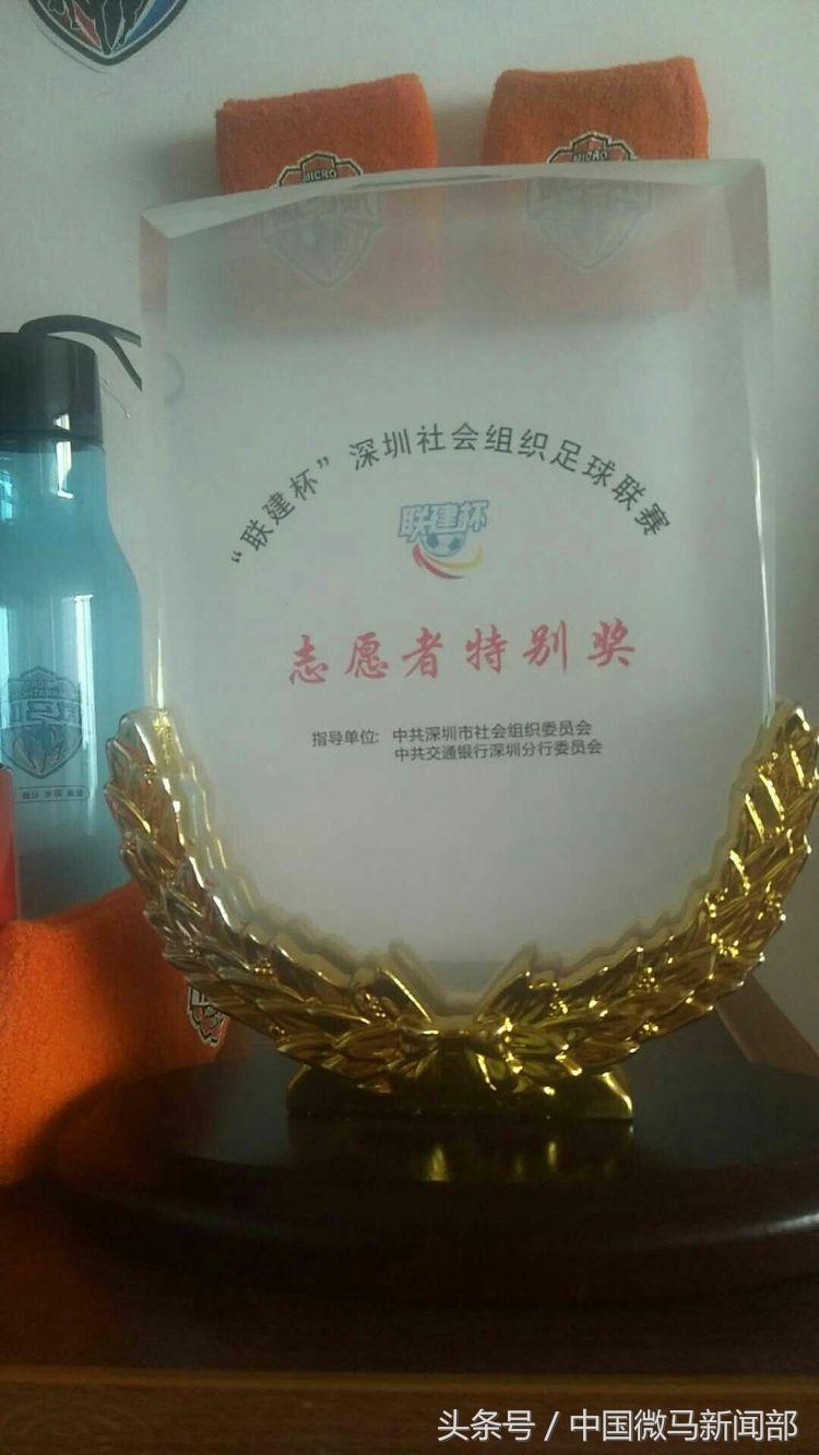 艳橙之花绽放绿茵