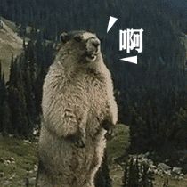 耳机套太小怎么变大,耳机保护套太小怎么变大