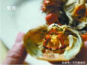 怎样选择海鲜的正确方法,海鲜如何清洗比较干净又好吃