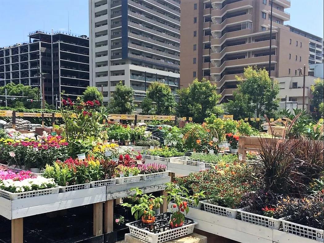 日本花店创业,日本花店的经营模式