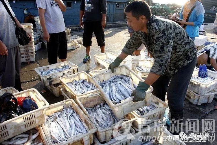 黄渤海特色海鲜,黄渤海渔场海鲜有哪些