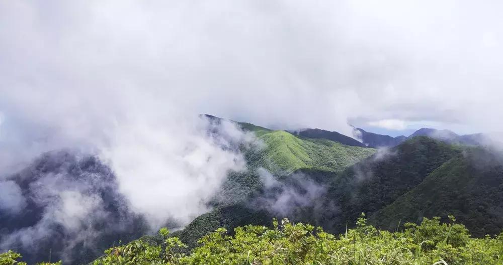 韭菜岭徒步招募,徒步韭菜岭