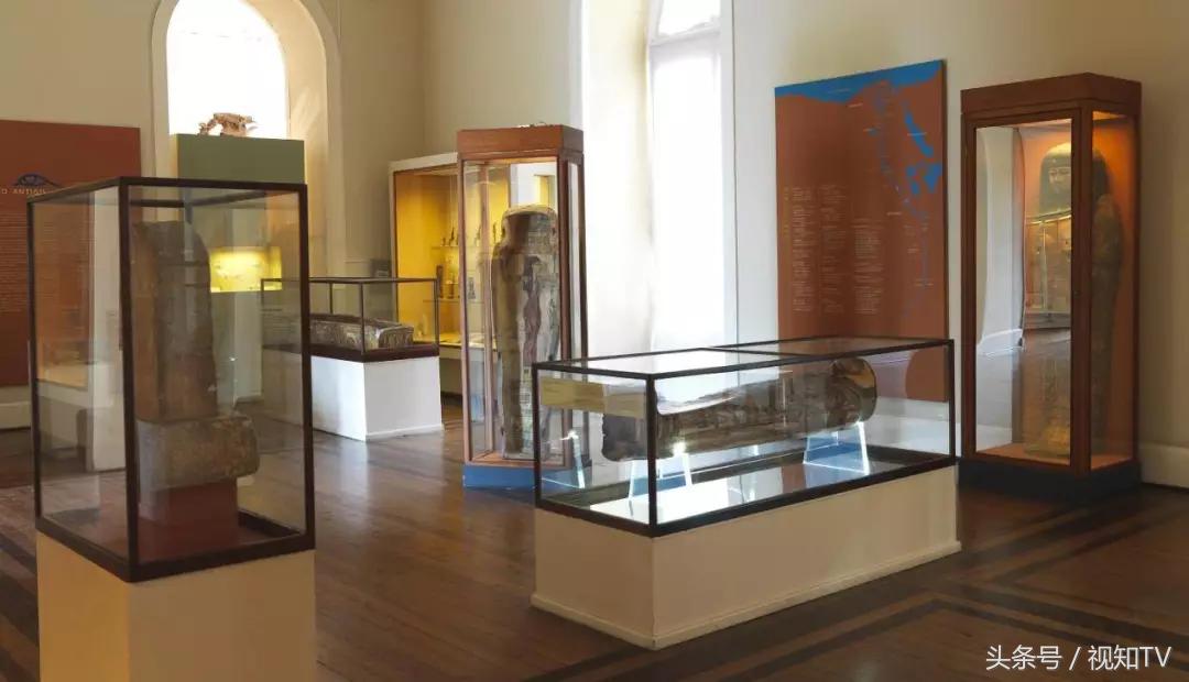 巴西国家博物馆火灾原因有哪些,巴西博物馆遭大火镇馆之宝