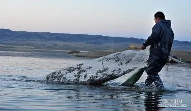 养鱼虾用药大全及使用方法,养鱼虾会遇到哪些问题