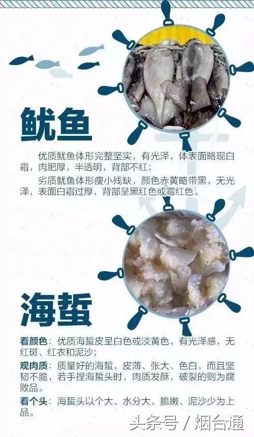 烟台开海现场直播视频,开海现场视频直播