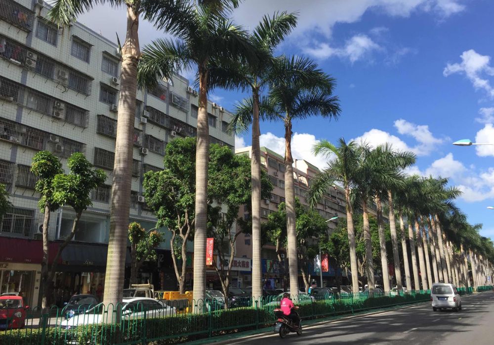 上海飞九月的机票是多少钱,9月29号上海到日本飞机票价格