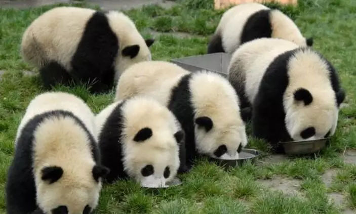 送给想去苏州的姑娘20条建议,给想去川西的姑娘50条建议