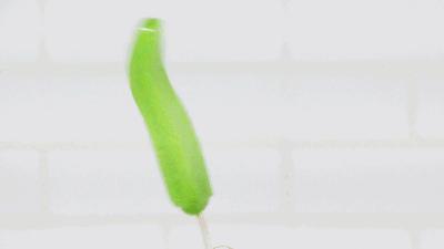 渐渐消失的雪糕,正在慢慢消失的六种雪糕