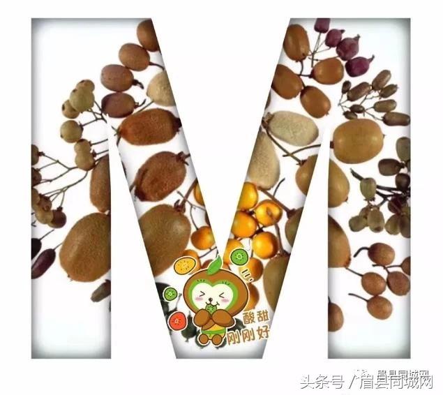 眉县猕猴桃消息,眉县猕猴桃真实故事