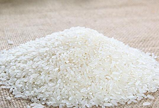 大米里长虫怎么驱虫,米里长虫怎么快速驱虫