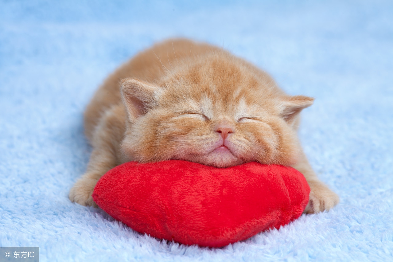 存钱不是钱的事情,存钱不是为了花钱吗