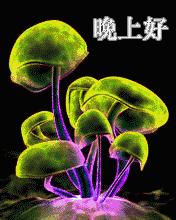 晚安语录温馨简短微商,微商正能量励志语录早安晚安心语