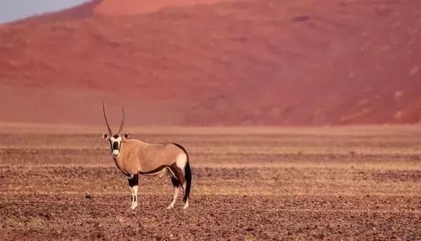 五分钟认识英国,五分钟认识奔驰