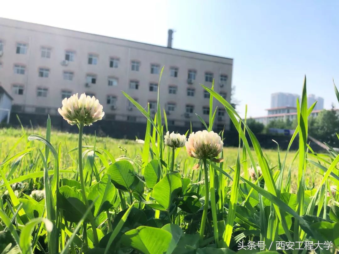 大学宿舍一般几个人间,本科生宿舍一般是几人间