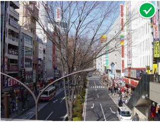 「交通看点」建设“完整林荫道”——步行和自行车交通环境设计建设图集亮点介绍（一）