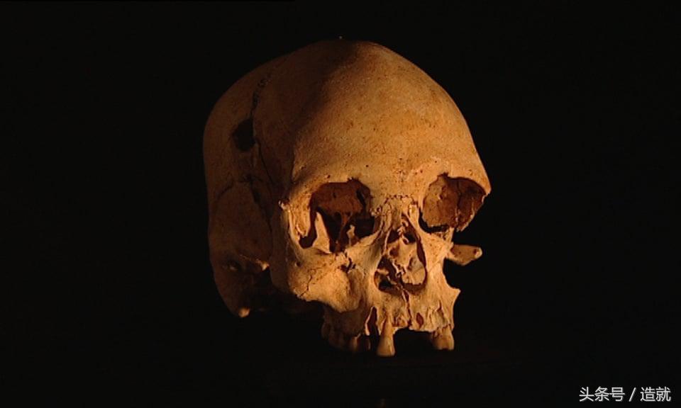 巴西博物馆藏文物,巴西博物馆大火幸存文物名单