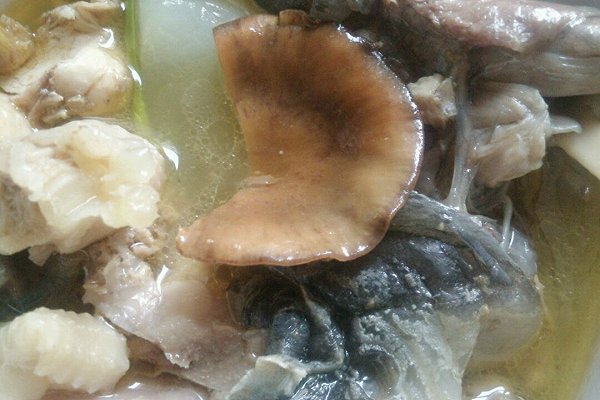 冬天甲鱼怎么样放才不死,这个季节甲鱼适合怎么吃