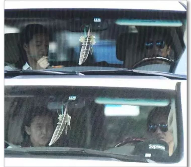 木村光希vs宝格丽,木村光希代言服饰