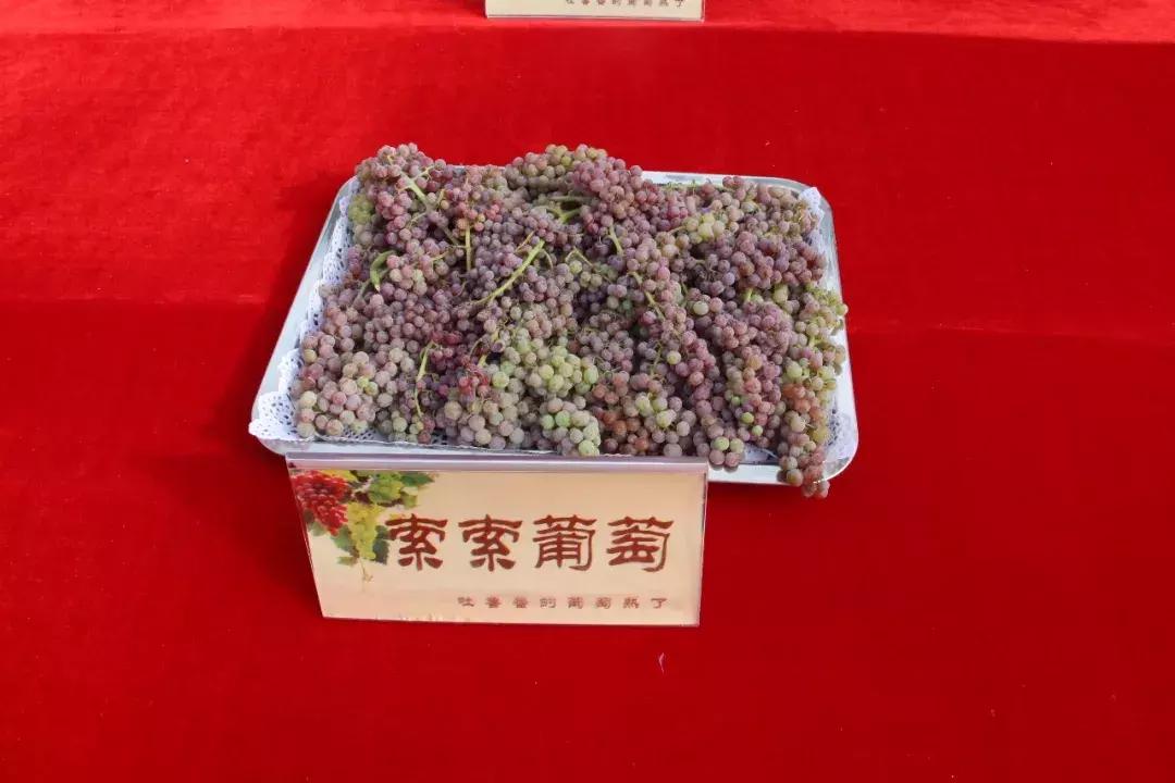 吃得明白看着糊涂,吃得明白看着糊涂心里清楚