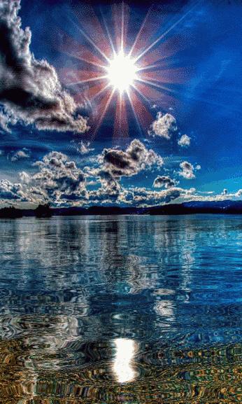 会动的照片大全,会动的11张图片