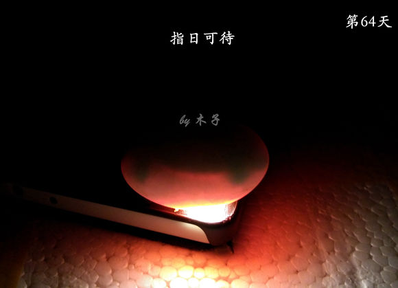 草龟繁殖经验分享孵蛋40天破壳,草龟养殖日记从幼苗开始