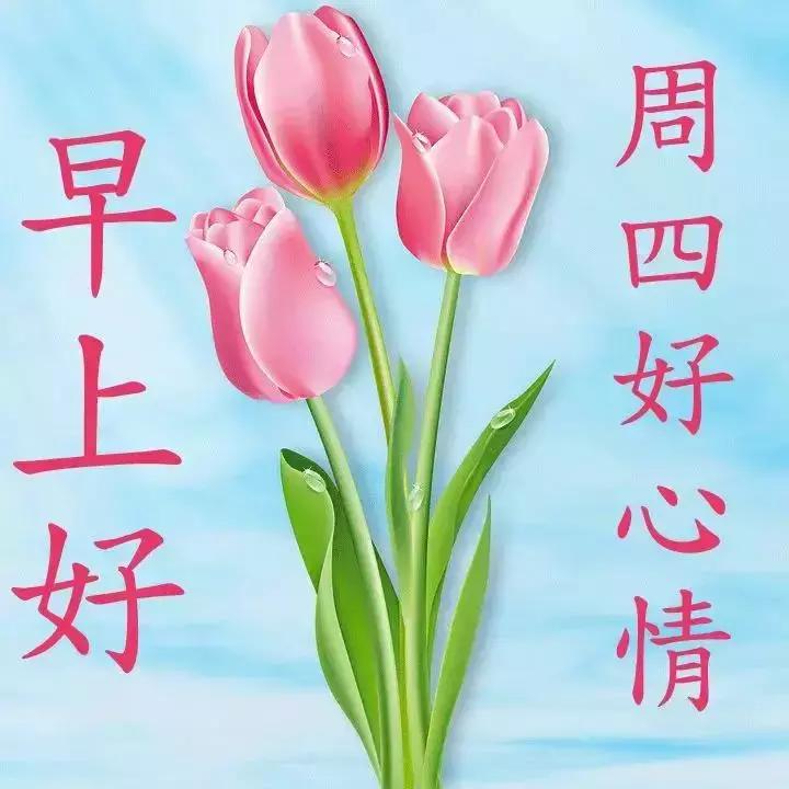 每日微信动态表情图片大全,微信早上好动态表情图大全