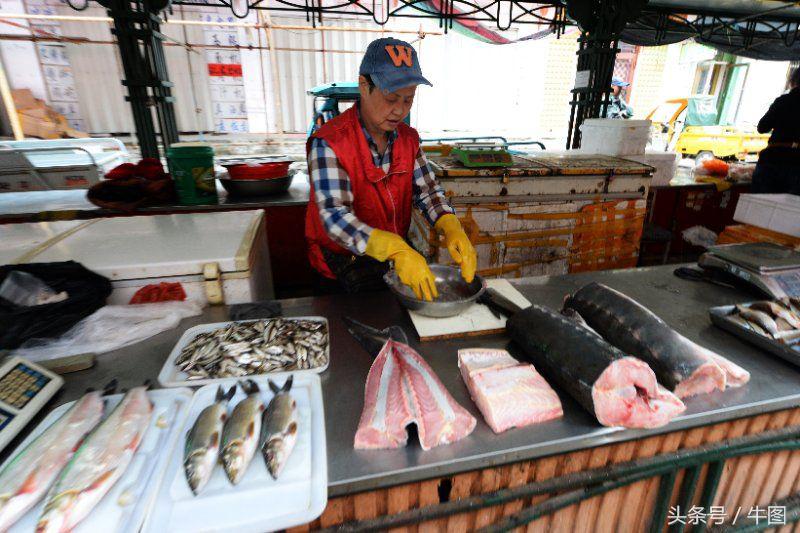 戚振林漫步青岛八大关,戚振林乌苏