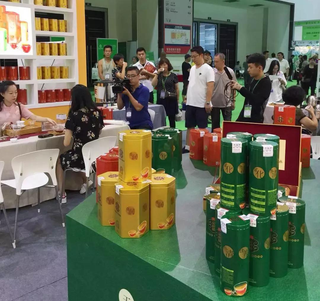 两岛联动，圆满收官！大益金柑普持续火热，广受好评